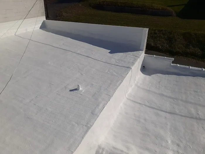 Pro Roof Solutions LLC Picture 5