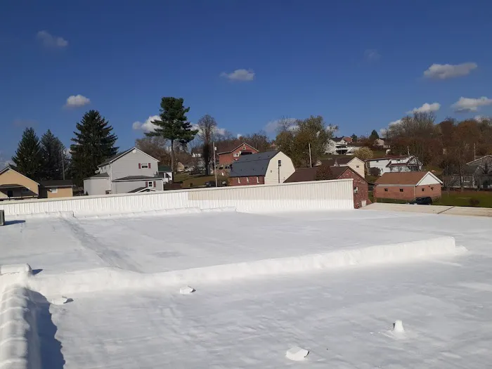 Pro Roof Solutions LLC Picture 4