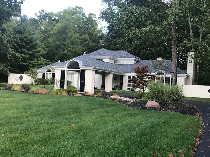 Green Ladder Roofing Picture 4