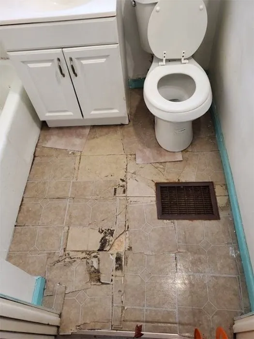 Silverback Roofing Picture 5