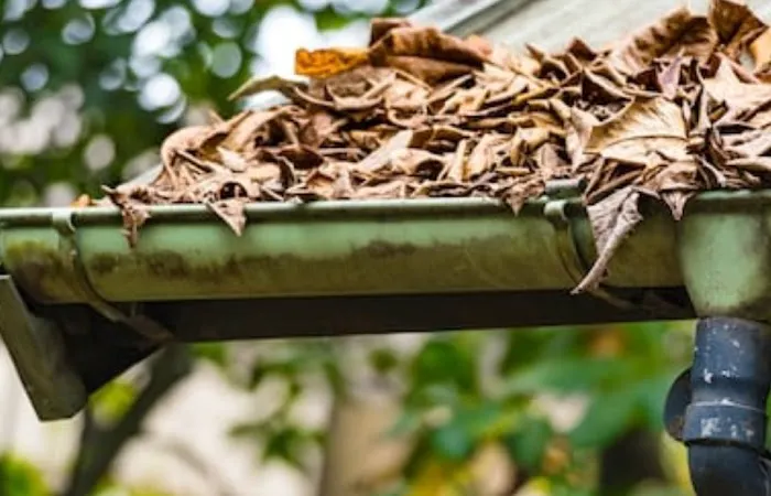 Live High Roofing n siding Picture 2