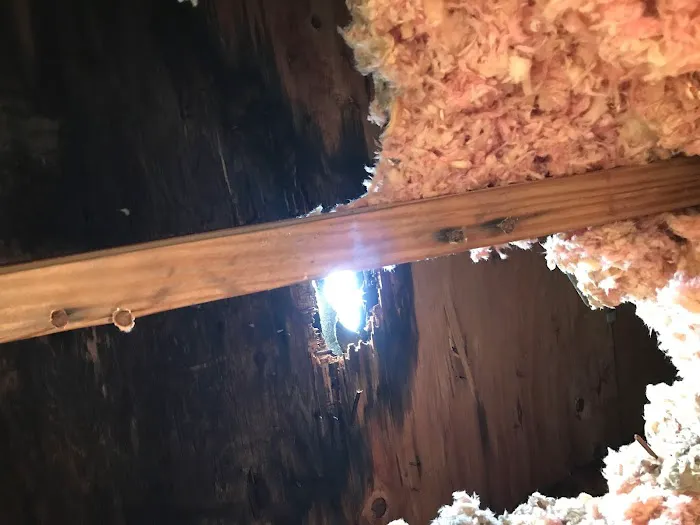 Burton Enterprises II Inc. Picture 2