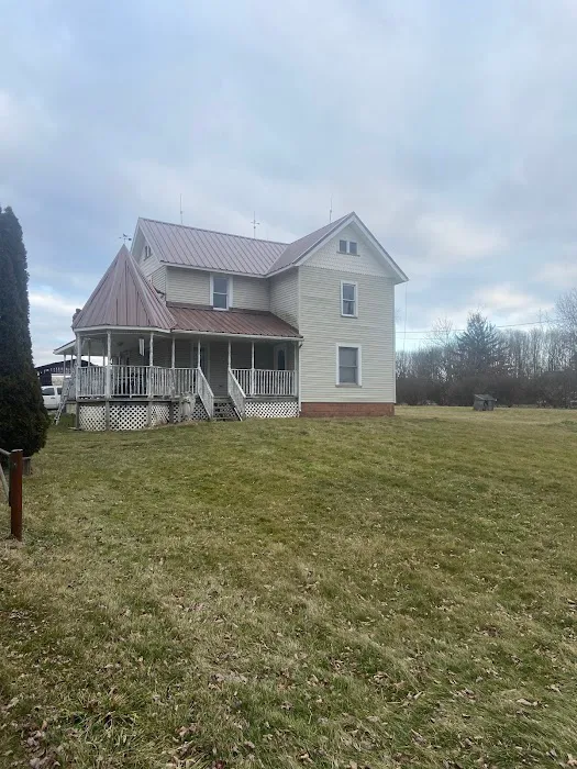 Mjm construction services llc Picture 5