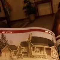 Hagerty Sr Jerome ico