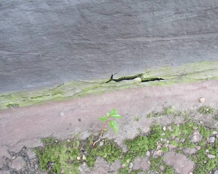 Elite Roof Systems Picture 5