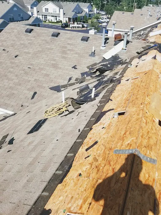 Bayview Exteriors LLC Picture 7