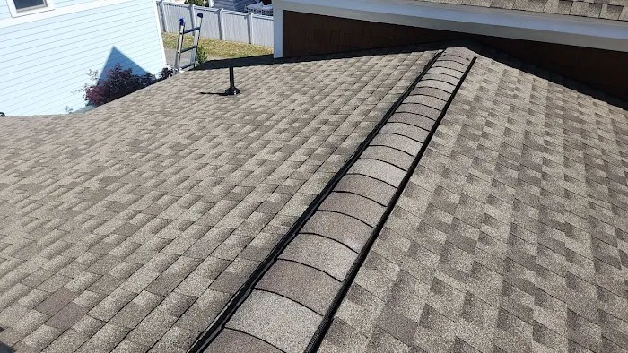 Roof Artistry Picture 1