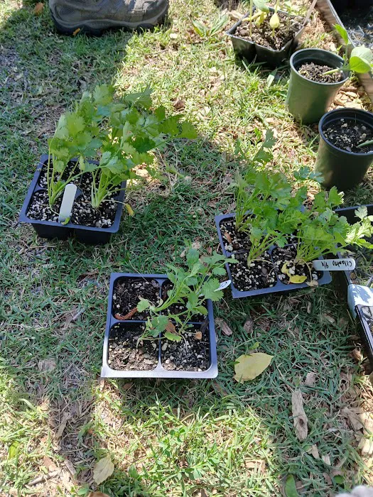 Essential Roofing Guys Picture 6