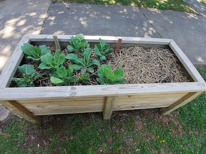 Essential Roofing Guys Picture 4