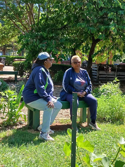 Essential Roofing Guys Picture 7