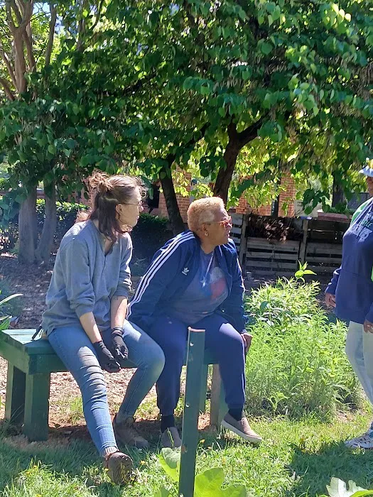 Essential Roofing Guys Picture 8