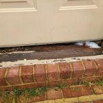 Coastal Enterprise Inc