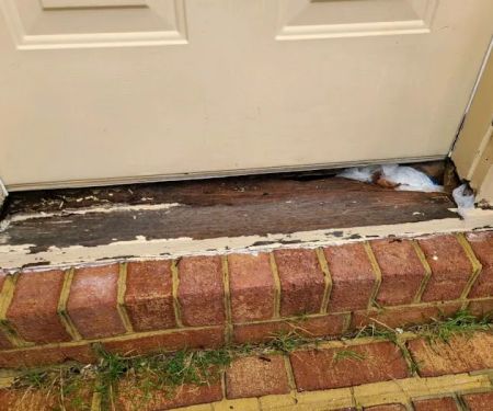 Coastal Enterprise Inc