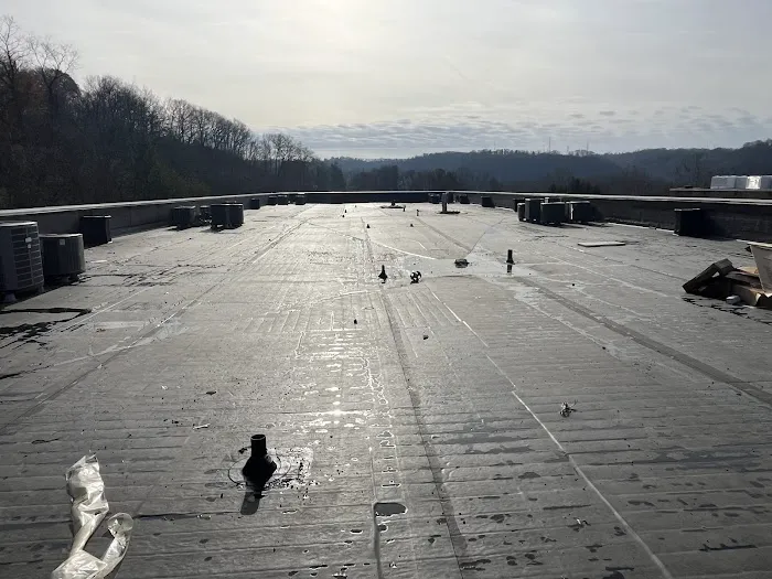 Genesis Roofing & Construction, LLC Picture 8