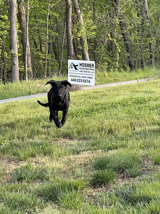 S Brothers Roofing Picture 9