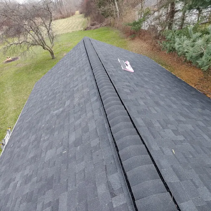 D-n-A Roofing & Construction Picture 6