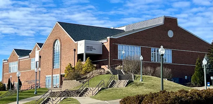 Bronco Roofing Picture 3