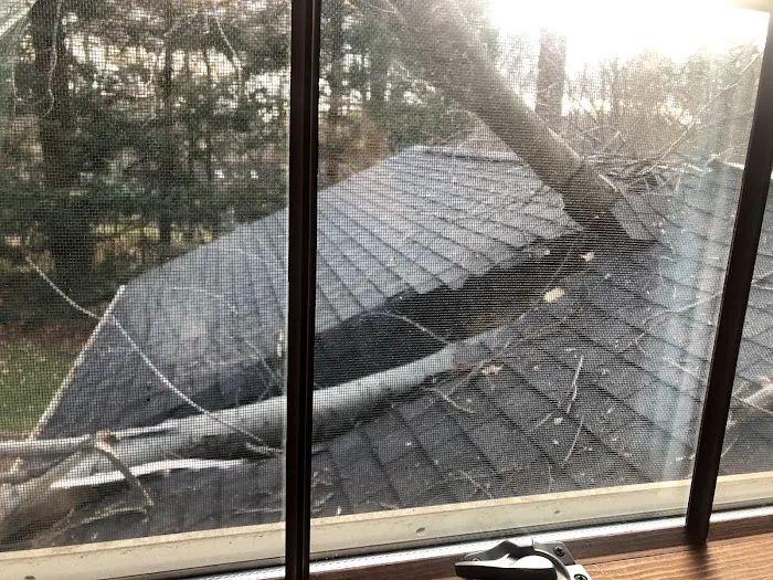 Franks Brothers Construction Picture 1