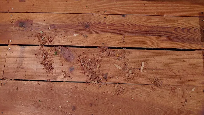 Another Beautiful Job Picture 1