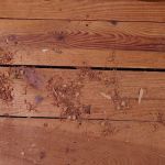 Another Beautiful Job