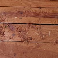 Another Beautiful Job ico