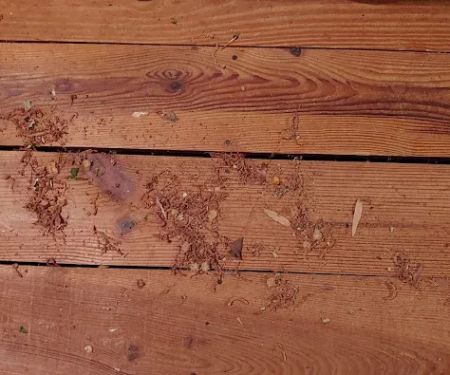 Another Beautiful Job