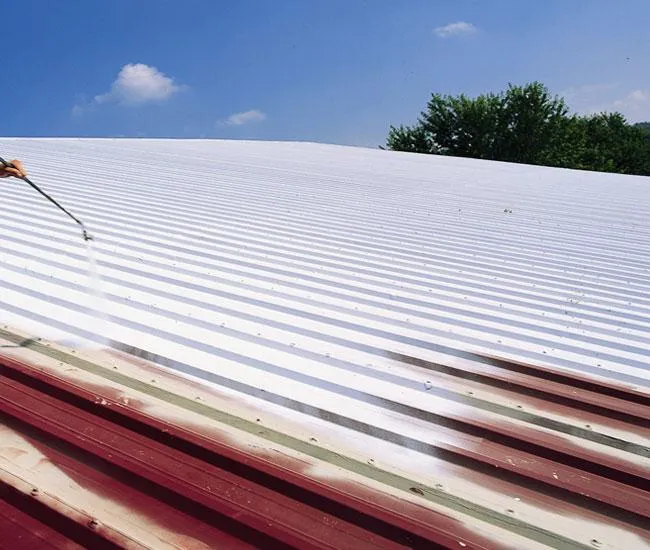 T&M Roof Restoration Picture 3