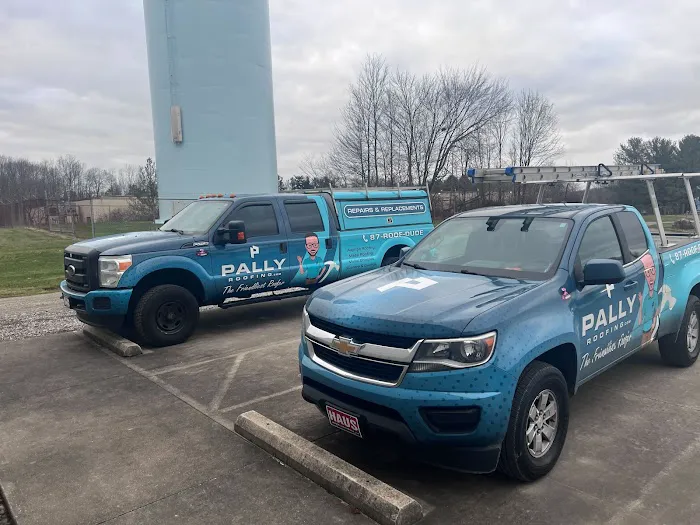 Pally Roofing Picture 8