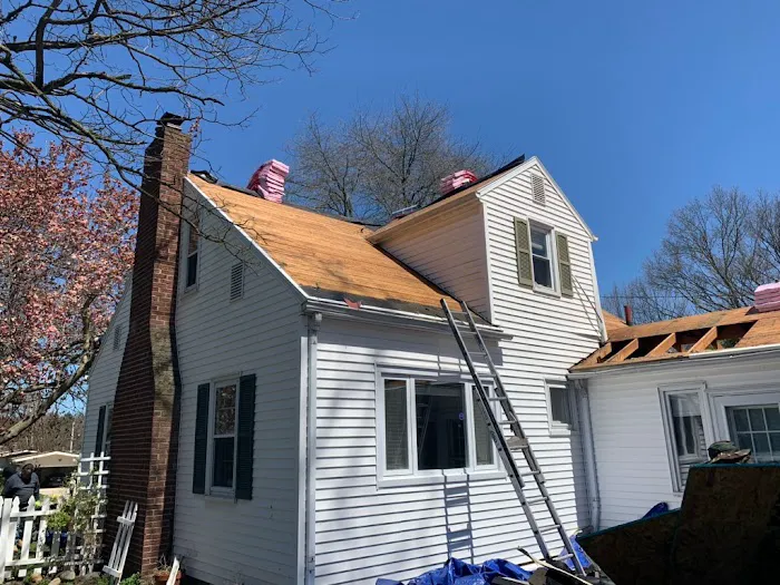 S.W.A.T. Roofing & Consulting Picture 4