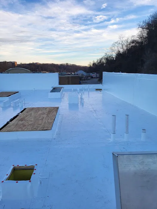 Strongback Roofing and Construction Picture 1