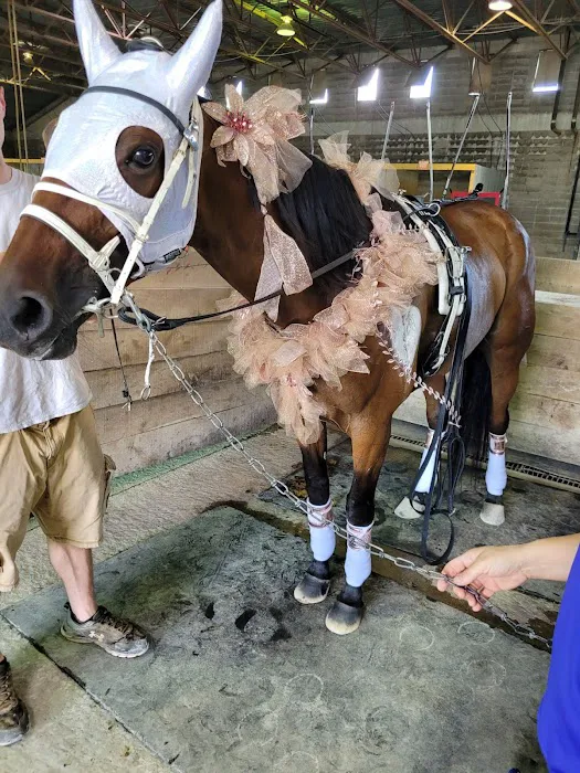 Ohio Home Repair Company Picture 7