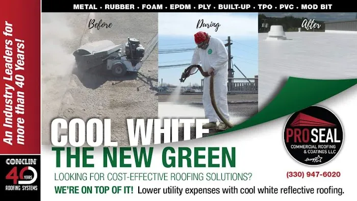 Pro Seal Commercial Roofing and Coatings, LLC Picture 1