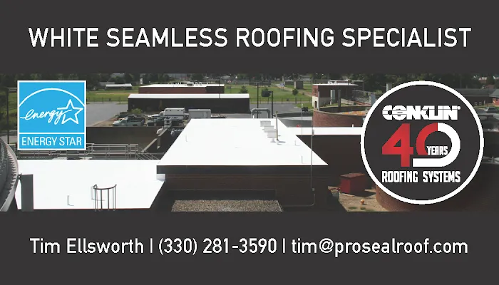 Pro Seal Commercial Roofing and Coatings, LLC Picture 3
