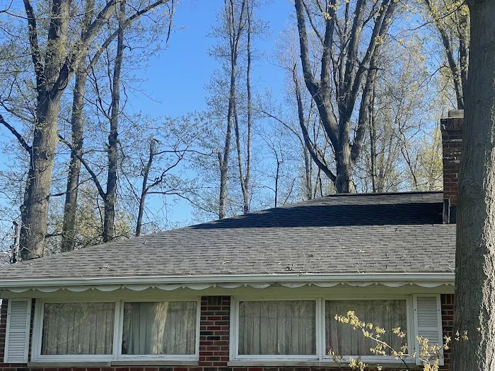 Royalty Roofing Picture 8