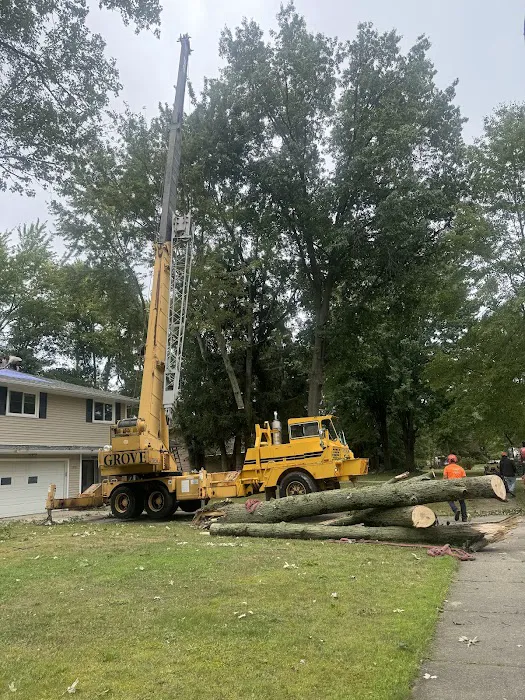 TCS Roofing Ltd. Picture 3