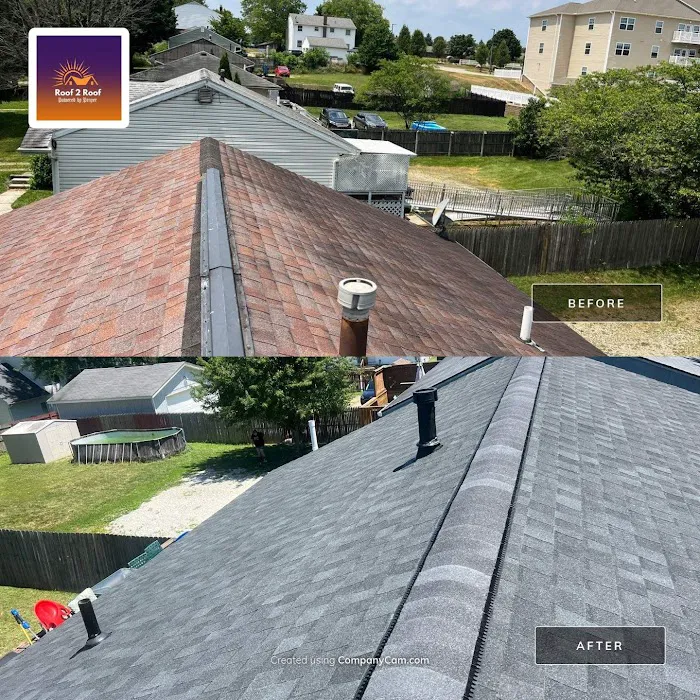 Roof 2 Roof Picture 3