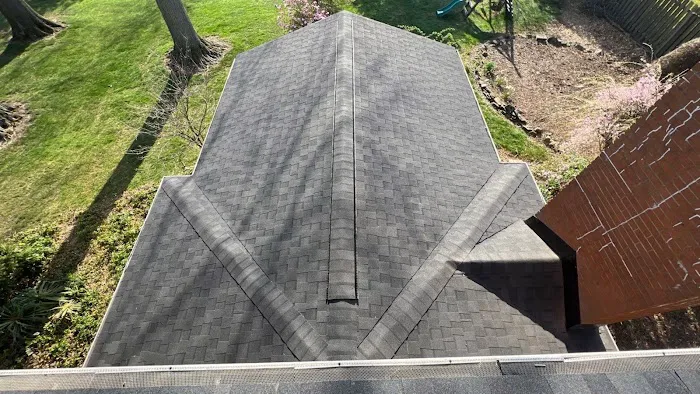 Roof 2 Roof Picture 6