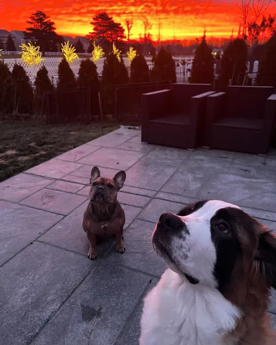 3 Daughters Construction Picture 9