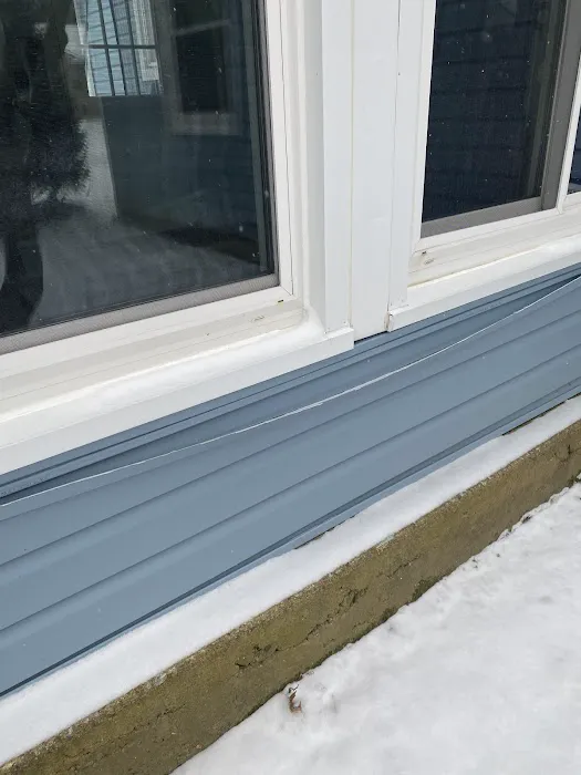 The Bearded Carpenter Picture 4