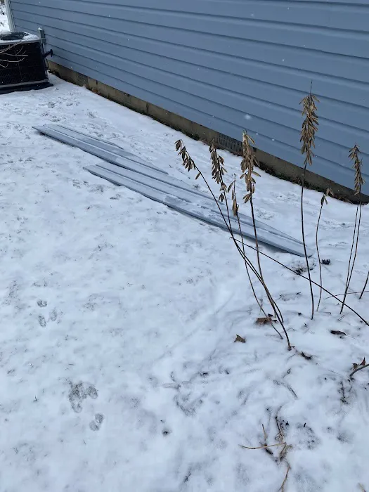 The Bearded Carpenter Picture 7