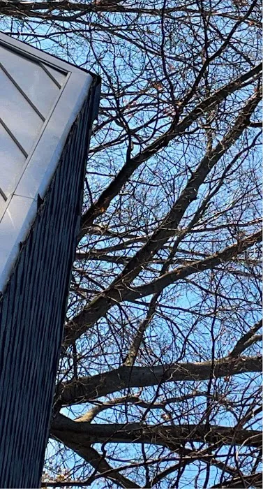 Gt's Roofing and Leak Repairs Picture 5