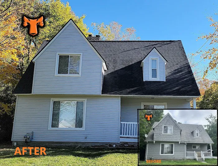 Tiger Exteriors Picture 5