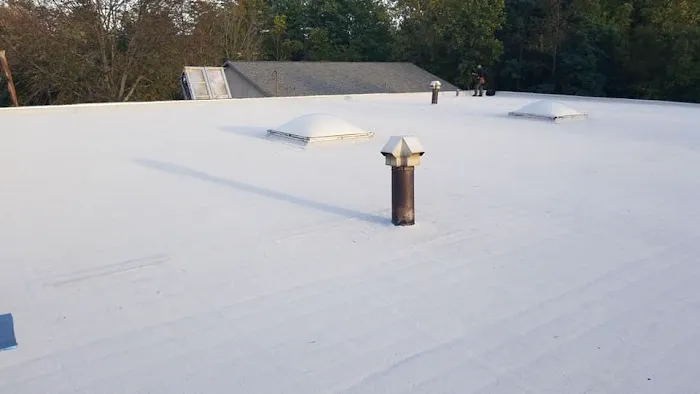 Tiger Exteriors Picture 8