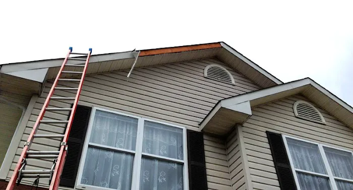 Tiger Exteriors Picture 10