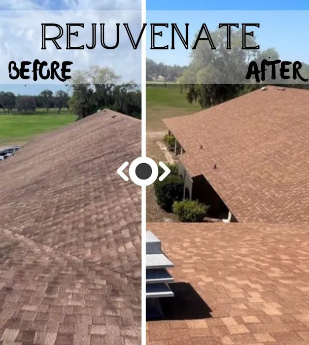 Roof Rejuvenate NEO Picture 2