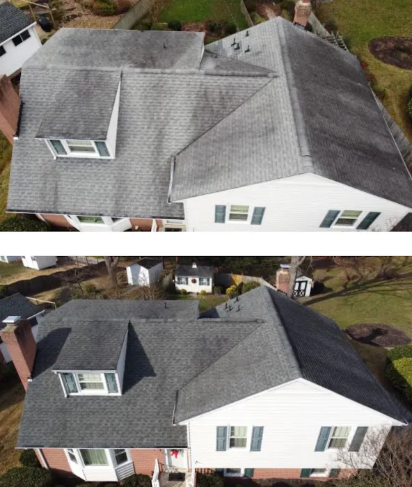 Roof Rejuvenate NEO Picture 1