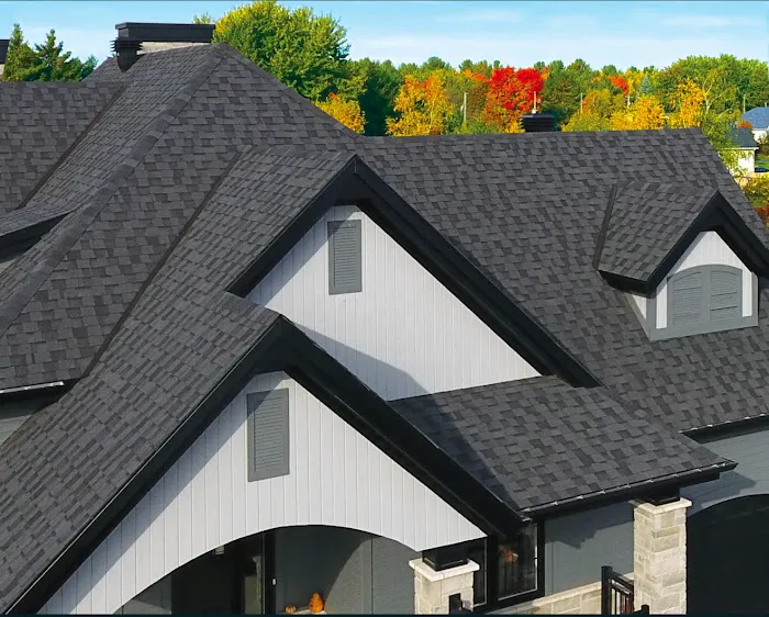 Roof Rejuvenate NEO Picture 6