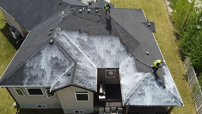 Roof Rejuvenate NEO Picture 4