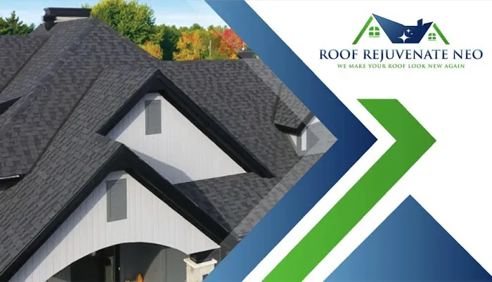 Roof Rejuvenate NEO Picture 5