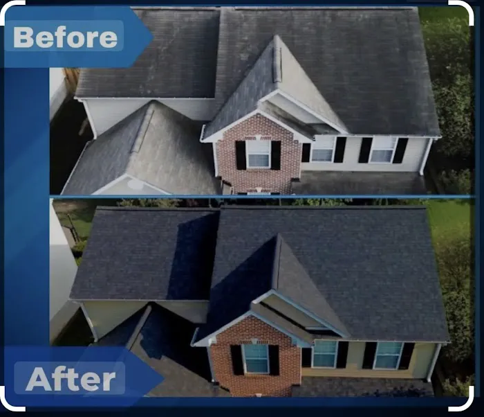 Roof Rejuvenate NEO Picture 9